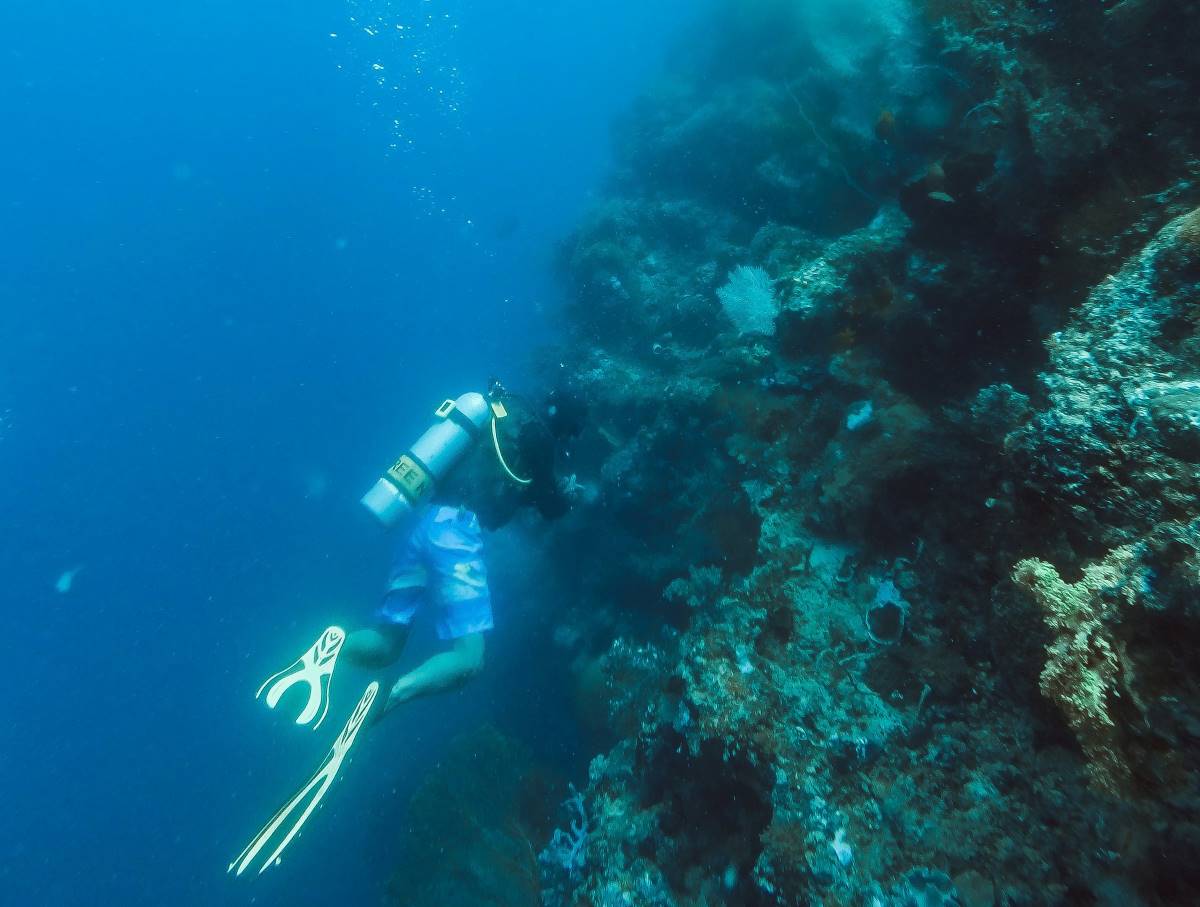 nusa penida is one of the best place to do the scuba diving at bali