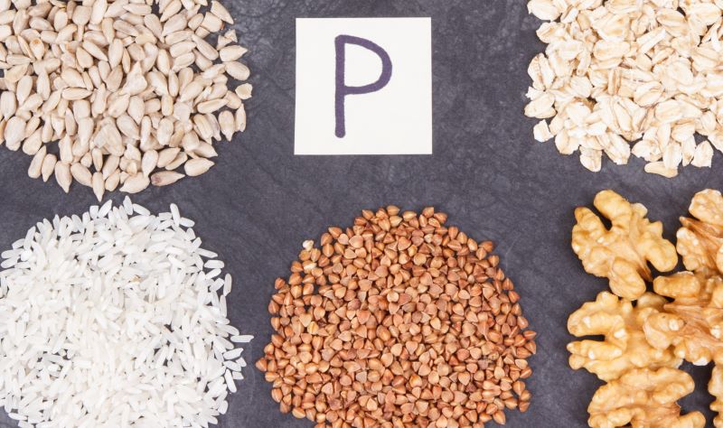 Nuts Rich in Phosphorus