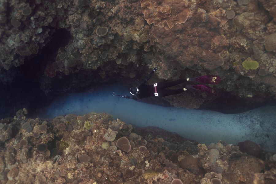 scuba diver swimming between the rocks