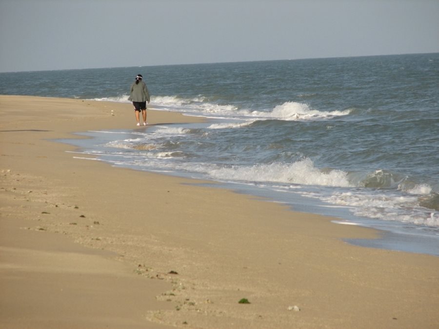 pirotan island in jamnagar