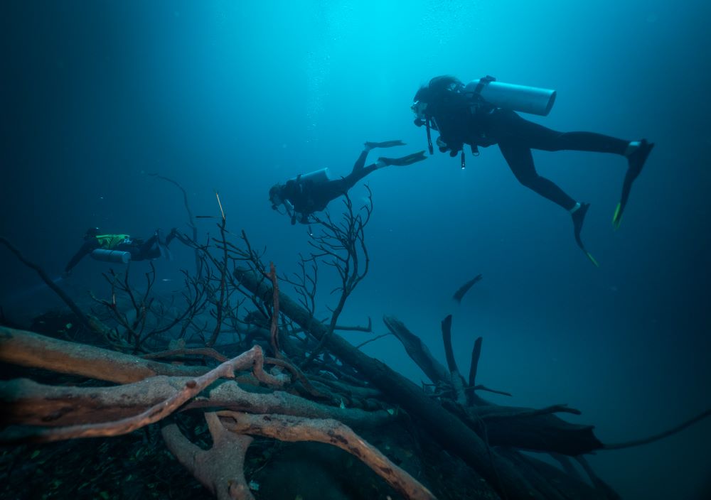 three scuba diver swimming