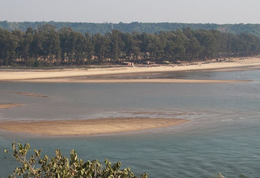 querim beach in north goa