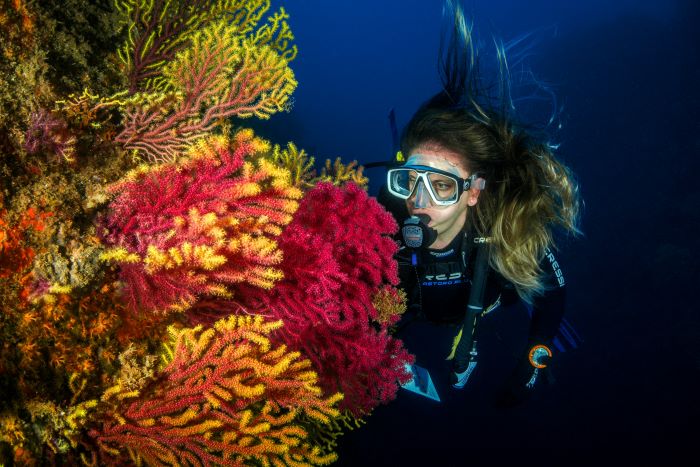 female scuba diver looking at the sea plant