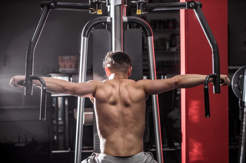 Rear Deltoid Machine