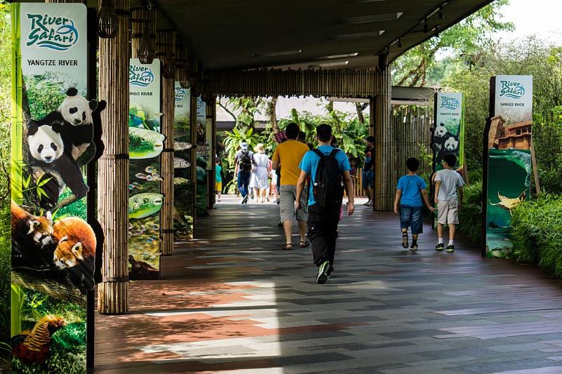 river safari mandai lake road