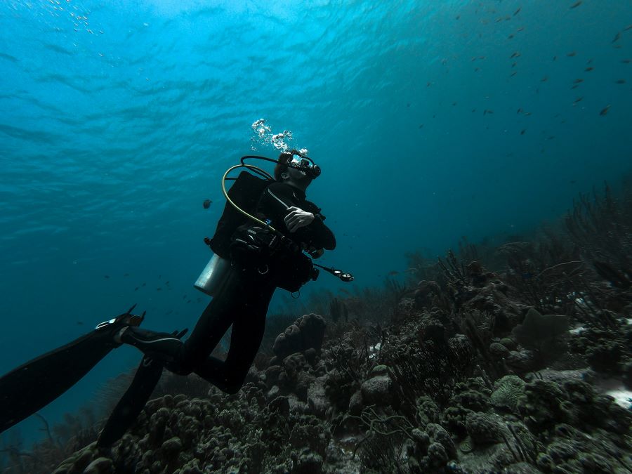 scuba diver in black scuba diving suite