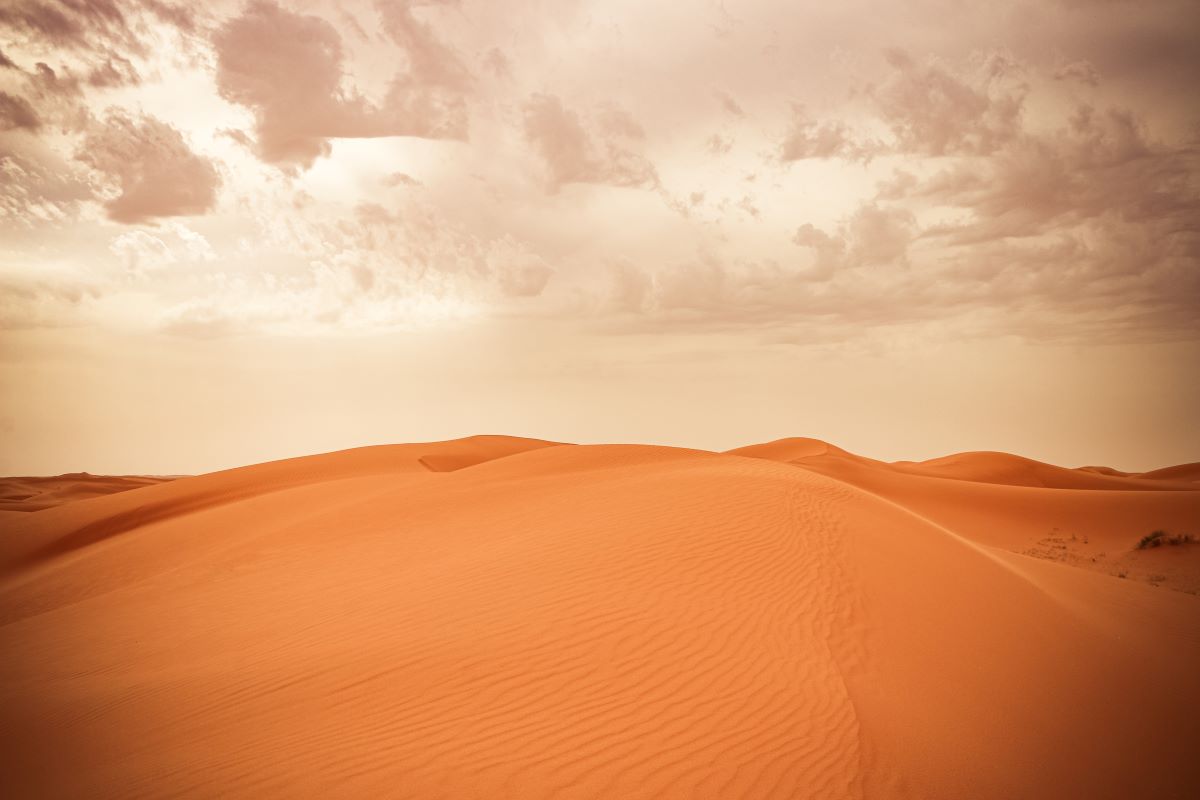 sand dune in saudi arabia