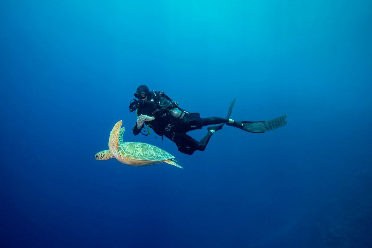 best scuba diving sites in bali