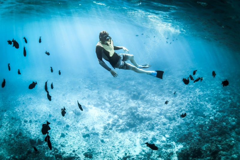 female scuba diver looking at the fishes under water