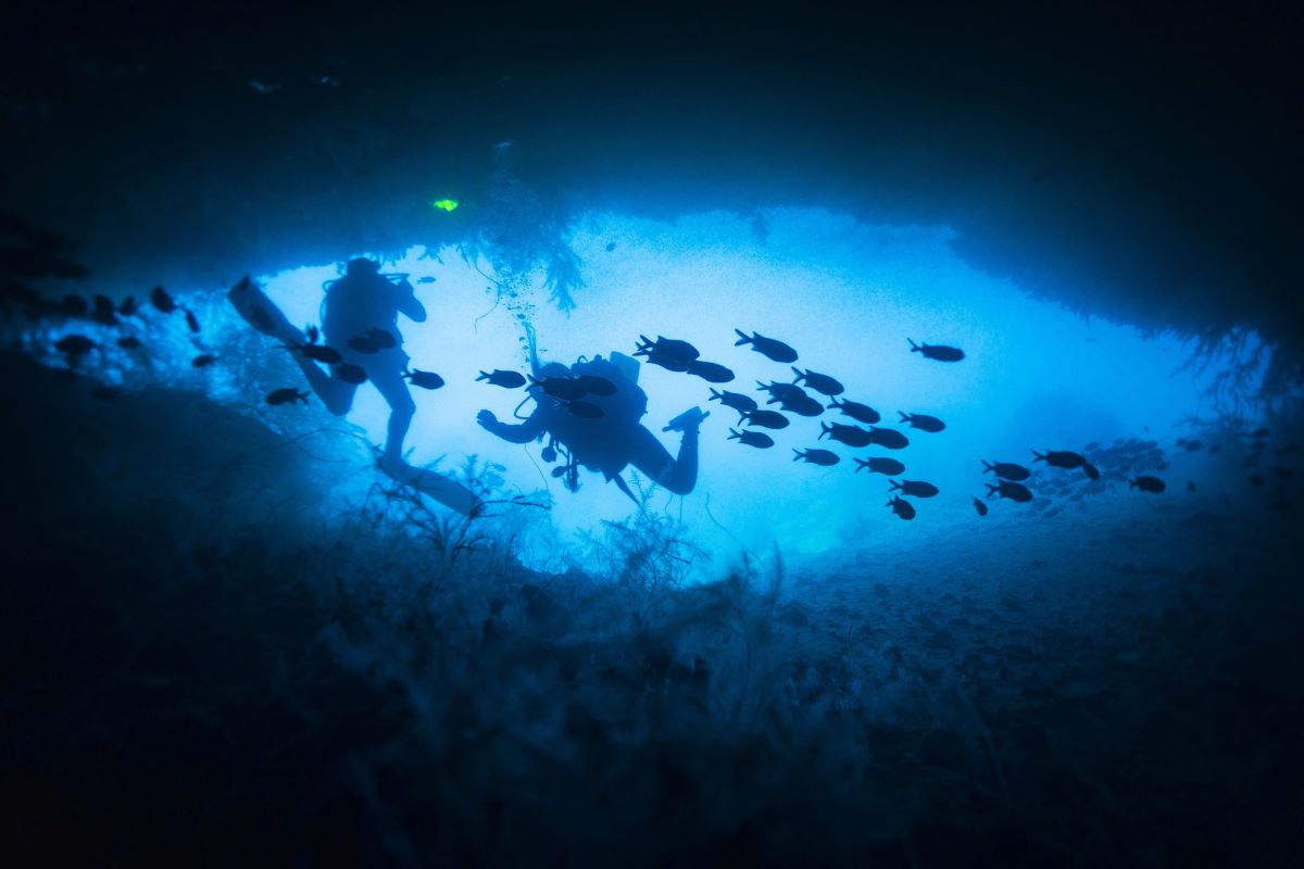 scuba diving in bahamas