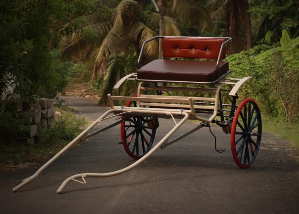 stage carriages act