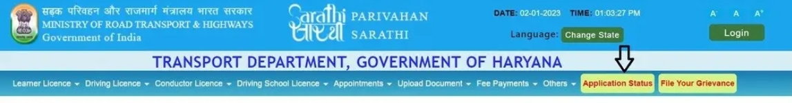 driving licence status
