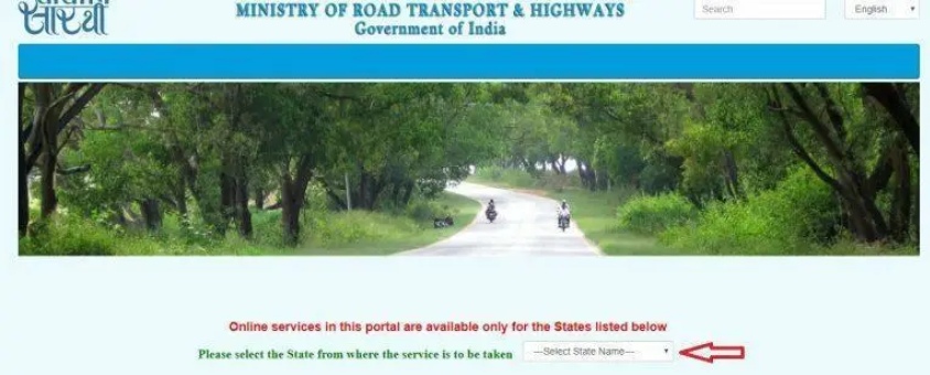 driving licence status