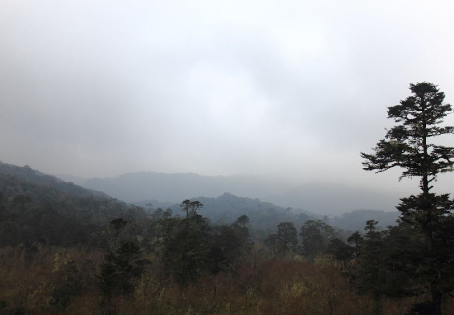 talle valley in arunachal pradesh