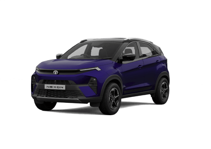  Tata Nexon iCNG
