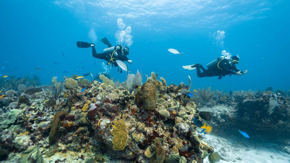 best Scuba Diving destinations in the World