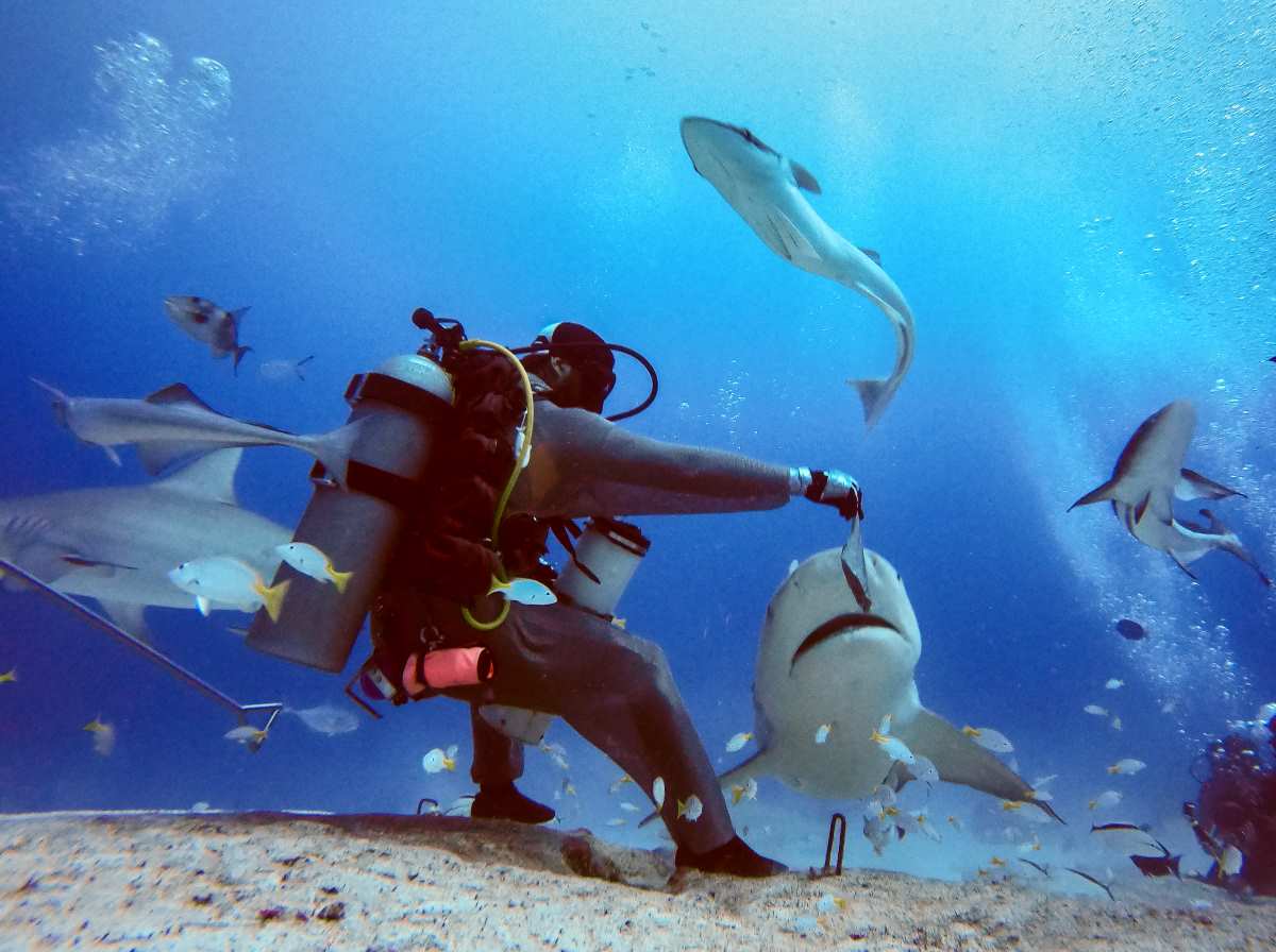 scuba diving in great blue hole belize