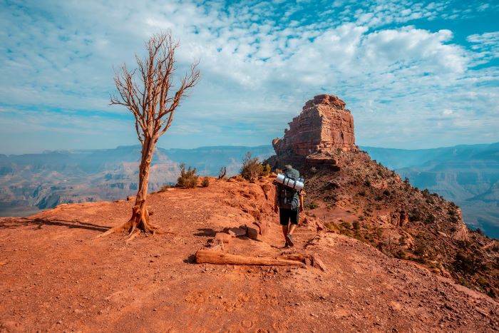 road trips places in rajasthan
