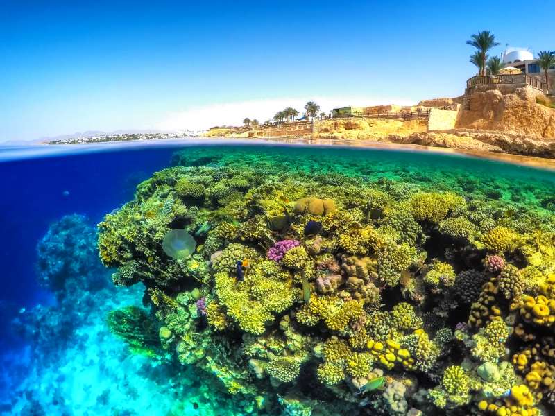 scuba diving in egypt