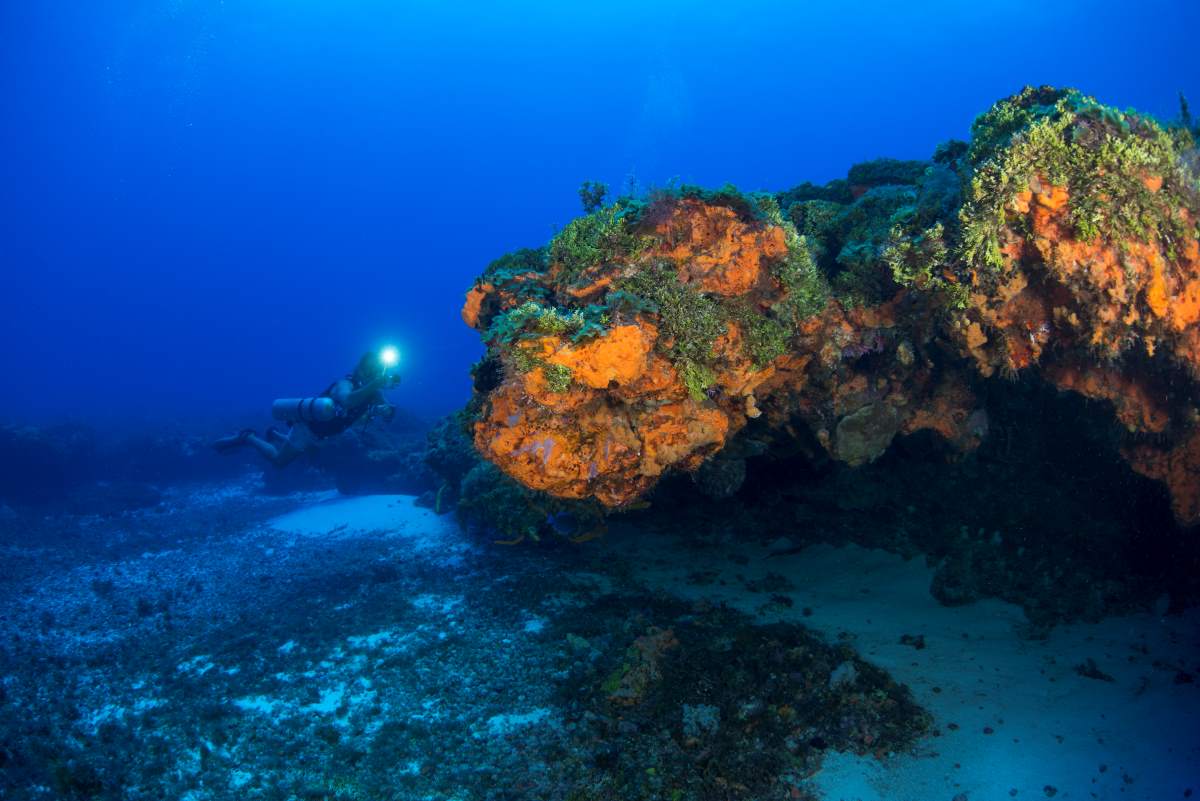 scuba diving in mexico