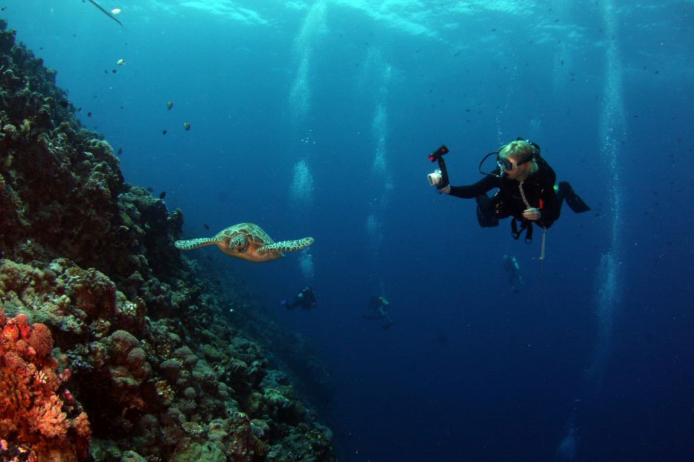 scuba diver taking picture of a tortoise while swimming