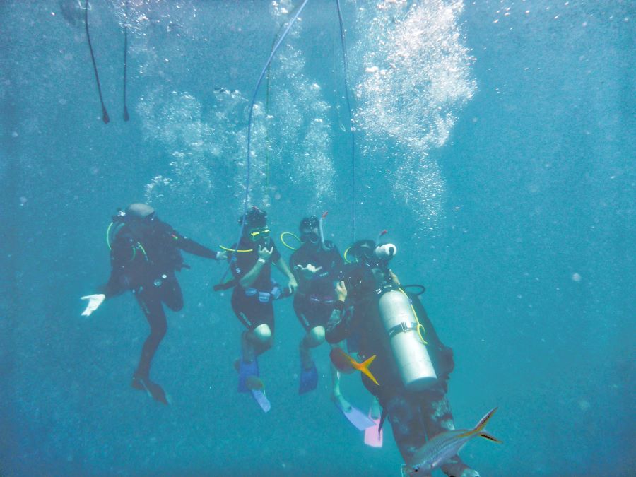scuba diving in varkala beach