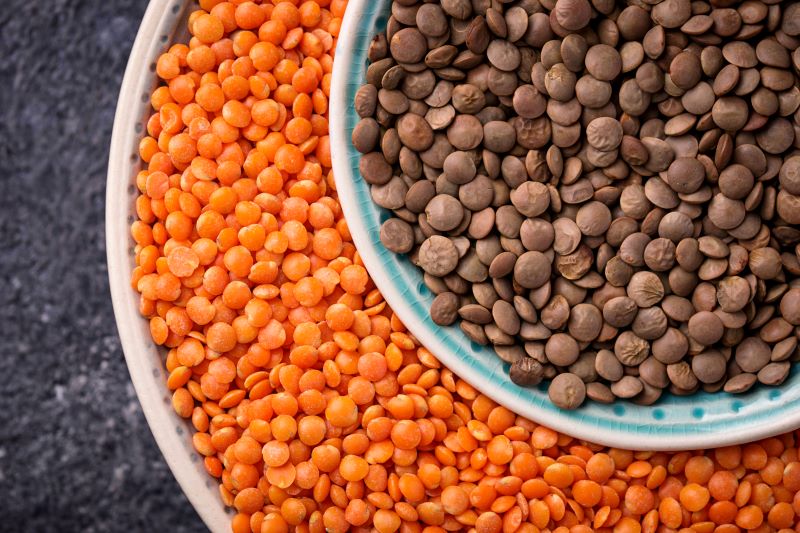 Fat and Protein Rich Vegetarian Food for Weight Gain