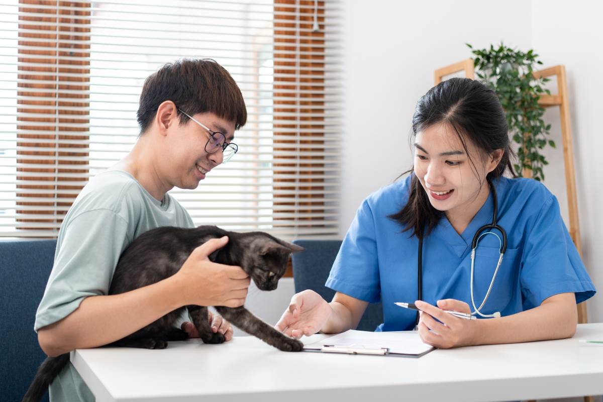 feline hyperthyroidism in cats