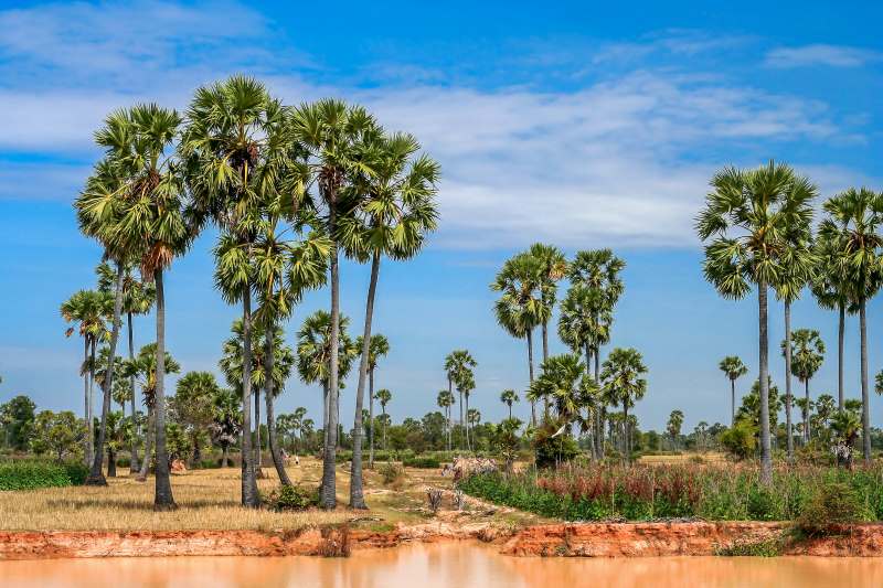 seasons to avoid visiting cambodia from india