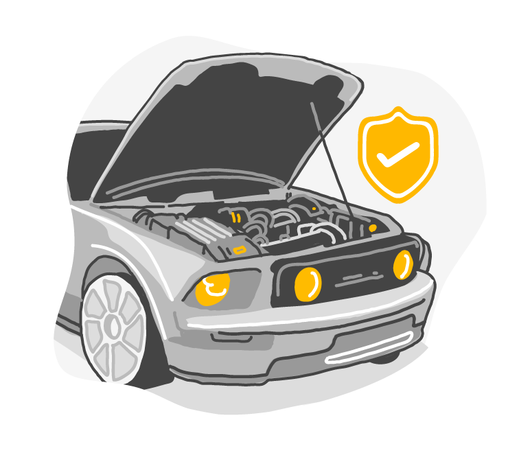 engine and gearbox protection
