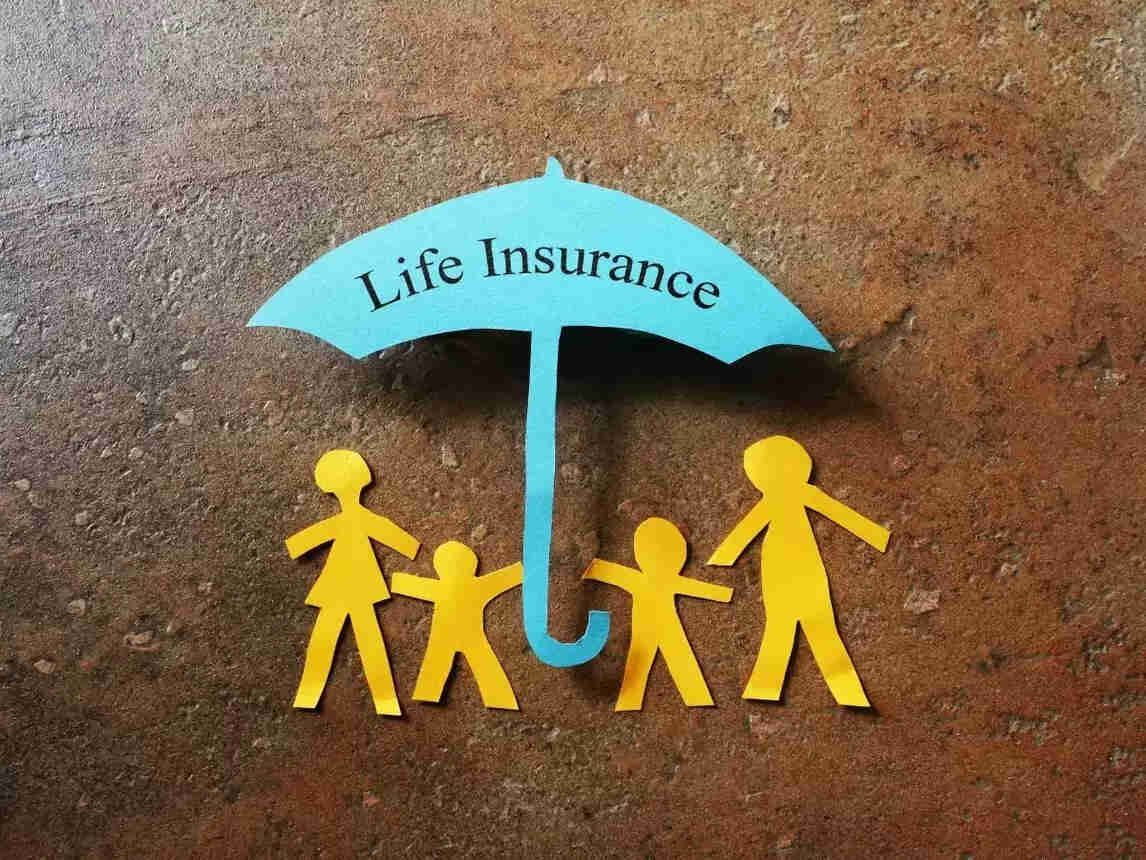 duration of a term insurance plan