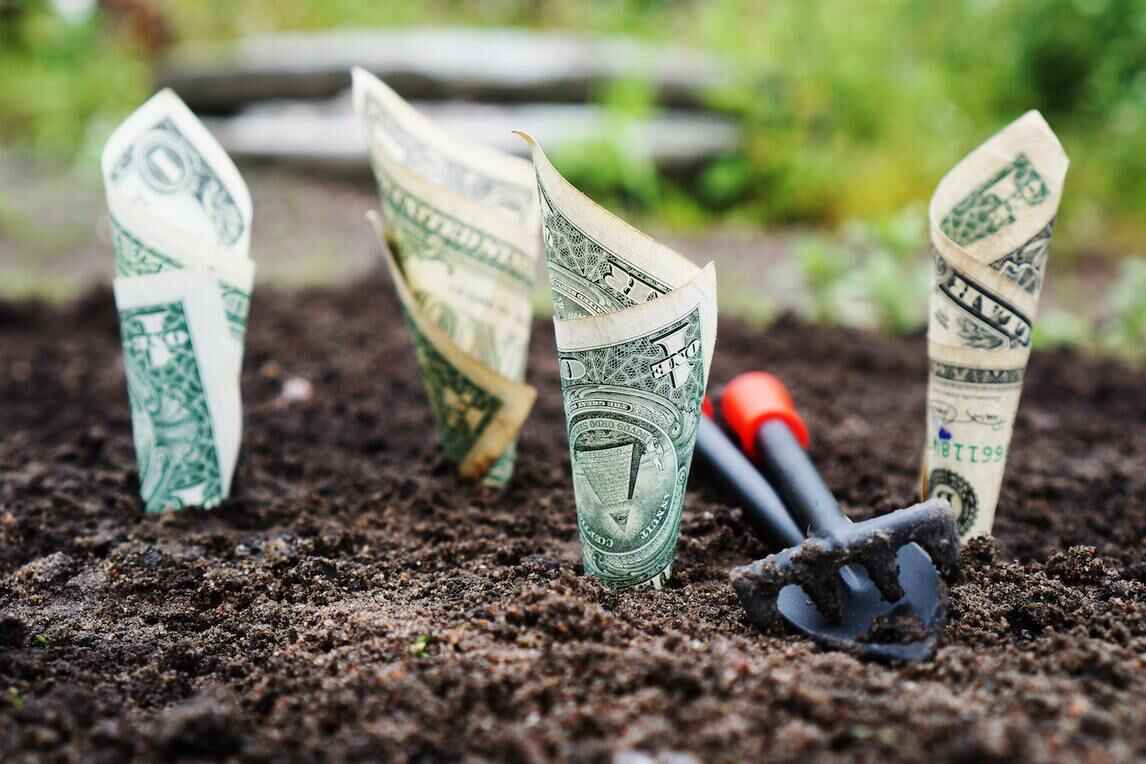 wealth vs investment management