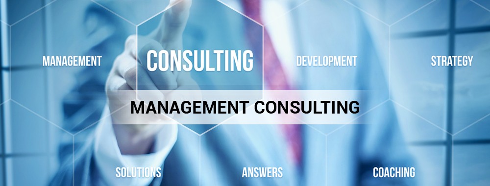 what do you mean by consulting