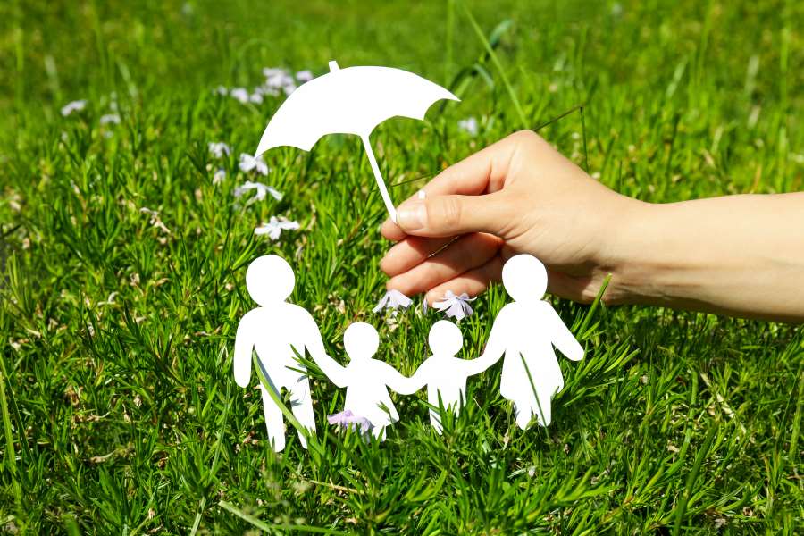 concept of family protection